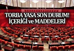 TORBA YASA ne zaman çıkıyor, son durum nedir? ⏳ 2. Torba Yasada neler var? Torba Yasa maddeleri ve içeriği...