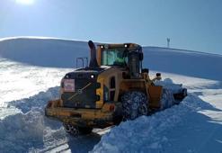 Hakkari'de kardan kapanan 18 yerleşim yerinin yolu açıldı