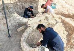 Milyonlarca yılı aşıp geldiler