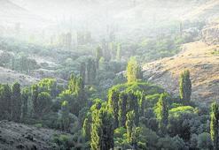 Kayseri’nin Kültür vadisi