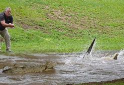 Timsah baskını! Dünyayı şoka sürükleyen görüntüler
