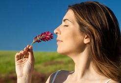 Davranışlarınızı bile etkiliyor! Kokular insan sağlığında önemli rol oynuyor