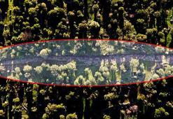 Heyecanlandıran keşif! Kazı çalışmalarında ortaya çıktı