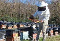 Arıcılar yeni sezona hazırlanıyor