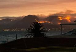 Güney Afrika Cumhuriyeti'nde orman yangını!