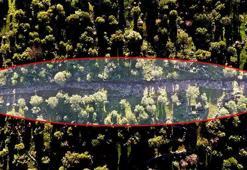 Manisa'da heyecanlandıran keşif! Kazı çalışmalarında ortaya çıktı