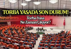 TORBA YASA ÇIKTI MI, SON DURUM NEDİR? 📣 Yeni torba yasa Meclis'ten geçti mi, maddeleri neler? 2. Torba yasa içeriğinde neler var?