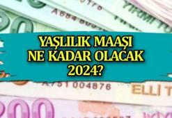 ZAMLI YAŞLILIK MAAŞI 2024 👴👵 Asgari ücret zammı ile yaşlılık maaşı kaç TL'ye yükseldi? 65 yaş aylığı başvuru şartları nedir, nasıl başvuru yapılır?