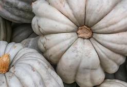 Bal kabağı böyleyse hemen almaktan vazgeçin! Lokum gibi tatlı için bal kabağı böyle olmalıymış