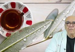 Pik yapan gribin, Kovid'in şifası! Doğal antibiyotikler: 'Çaya katsanız yetiyor'