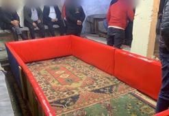 Sonunda bu da oldu! Hayvanları koruma derneğinde horoz dövüştürdüler