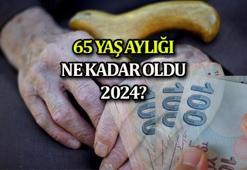 YAŞLILIK MAAŞI 2024 (65 YAŞ AYLIĞI) ne kadar? Zamlı 65 yaş maaşı kaç TL oldu, yüzde kaç zamlandı?