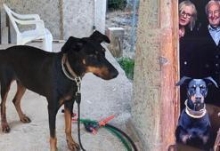 Korhan Berzeg 200 gündür kayıp! Tina, her geçen aracın içine bakıyor