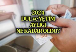 DUL - YETİM MAAŞI 2024 ZAMMI 📍 Dul ve yetim maaşları ne kadar oldu? Yeni dul - yetim aylıkları kaç TL yapıldı?