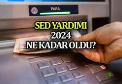 SED ÖDEMELERİ 2024: 👩‍🎓👨‍🎓 YENİ SED YARDIMI ne kadar olacak, zam geldi mi? Sosyal ve Ekonomik Destek (SED) nedir, kimlere verilir? Zamlı SED ödemesi...