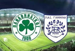 Panathinaikos-Pas Giannina maçı ne zaman saat kaçta hangi kanalda? Fatih Terim ilk maçına çıkıyor!