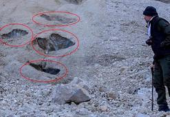 Konya'da varlığı kanıtlandı! Şaşkına çeviren keşif