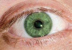 Göz şekliniz kişiliğinizi tamamen ele veriyor! Artık 1 kere bakınca anlayacaksınız