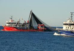 Hamside bolluk günleri geçti