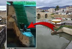 Irmakta gördü, ornitorenk sandı! Gerçek ise sonradan anlaşıldı