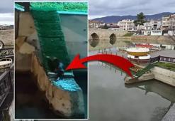 Irmakta gördü, ornitorenk sandı! Gerçek ise sonradan anlaşıldı