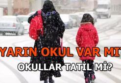 SON DAKİKA! Yarın okullar tatil mi, 17 Ocak'ta okul var mı? Çarşamba günü (yarın) okullar tatil olacak mı?
