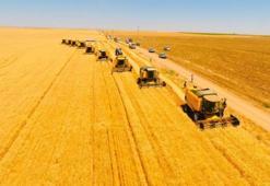 Tarımda üretici enflasyonu belli oldu