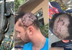 Aniden bulanık suda belirdi, dişlerini kafatasına geçirdi!