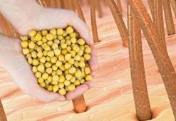 İstenmeyen tüylere nohut çözümü! Ağda, cımbız ve jilete gerek kalmıyor