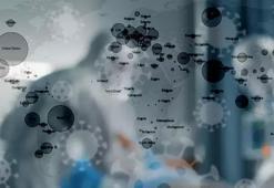 Ölüm oranı yüzde 100'ü gördü: Akciğer yerine beyinde yayılıyor! Kovid-19'u mutasyona uğratıp, klonladılar