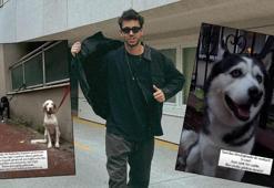 Serkay Tütüncü isyan etti! 'Sürekli sağa sola bağlanmış köpekler görüyorum'