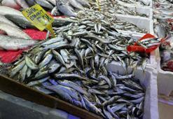 Havaların soğumasıyla vatandaşın balığa ilgisi arttı