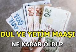 ZAMLI DUL VE YETİM AYLIĞI / MAAŞI 2024 | Dul ve yetim aylığı ek ödeme ne kadar, yüzde kaç zamlandı? Dul ve yetim maaşı hesaplama