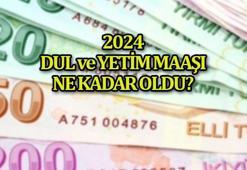 DUL - YETİM AYLIĞI 2024: Zamlı dul ve yetim maaşı ne kadar oldu, başvuru şartları neler?