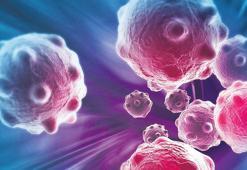DSÖ: Kanser 2050’de yüzde 77 artacak