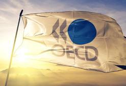 OECD'den küresel büyüme öngörüsü