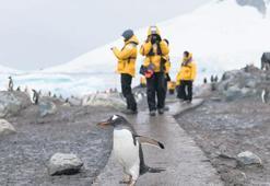 ‘Beyaz Kıta’da turizm patlaması
