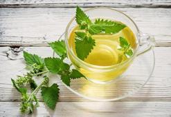 Uyku ve sindirim problemlerine son! Melisa çayı ile kurtulmak çok kolay