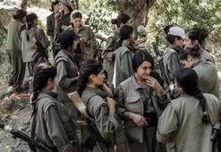 PKK'nın 'sevgili' oyunu! Nusaybin-Rakka-Kandil üçgeni... '10 gün yemek vermediler'