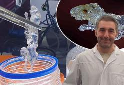 Dünya tıp tarihine geçecek çalışmalarda Türk imzası: Organ nakli tarihe karışabilir!