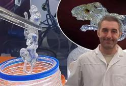 Dünya tıp tarihine geçecek çalışmalarda Türk imzası: Organ nakli tarihe karışabilir!