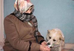 Mahallenin maskotu 'Çirkin' alkış sesi duyunca oynamaya başlıyor