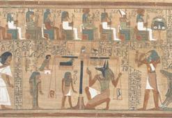 Arkeolojinin keşfi wasabi