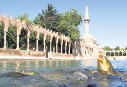 Bereketli hilalin kalbi yatırıma hazır