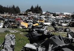 Binlerce aracın sahibi hala belli değil! Koyunlar hurda araçların arasında otluyor