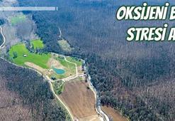 İğneada'daki selde 6 kişi ölmüştü! İlk duruşma yarın