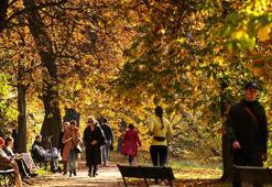 Araştırma ortaya koydu: Günde en az 2 bin 200 adım atmak erken ölüm riskini azaltıyor