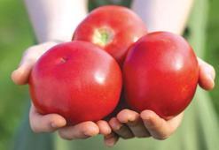 AB'den coğrafi işaret alan türk ürünleri 20'ye çıktı! Aroma ve tat için işaret fişeği