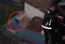 Bursa'da 'Şimşek' operasyonu! Torbacılar çatıdan kaçtı, gardıropta yakalandı