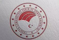 Sigara paketinde fiyatı yazacak